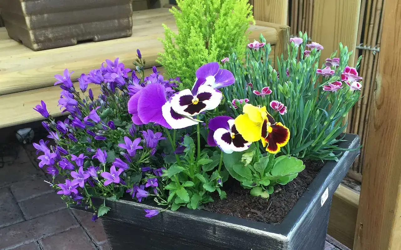 planting-2